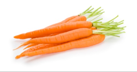Carrot 489